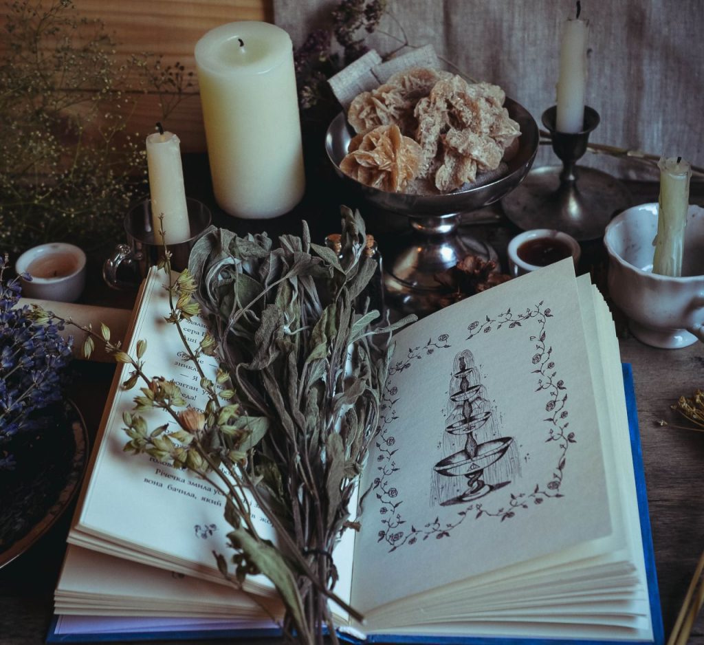 Herbs for witch