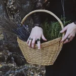 Witch Herbs
