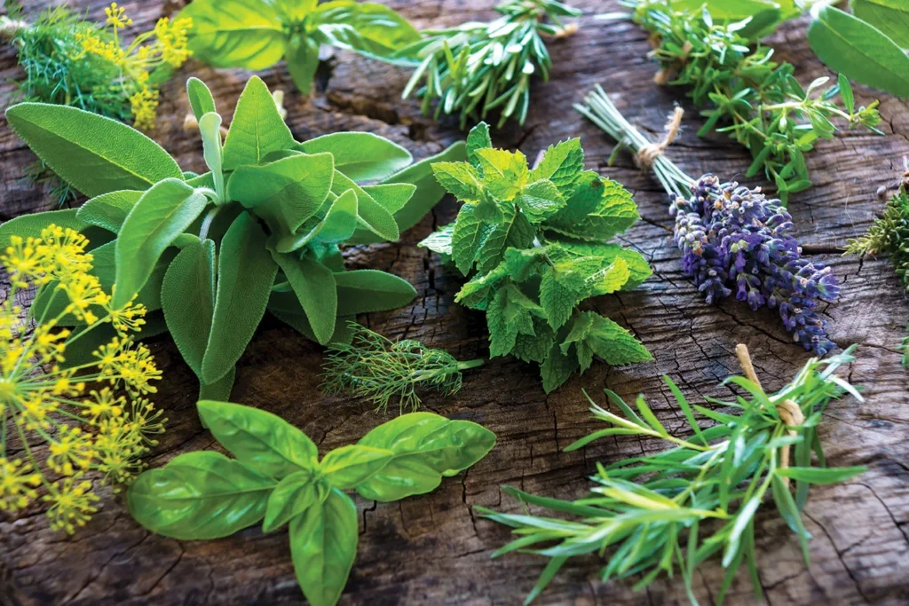 Courage-enhancing herbs Herbs for bravery Magical herbs for strength Confidence-boosting herbs Herbal magic for fearlessness Witchcraft herbs for boldness Spell ingredients for courage Courage spells with herbs Empowerment herbs in magic Botanical allies for inner strength