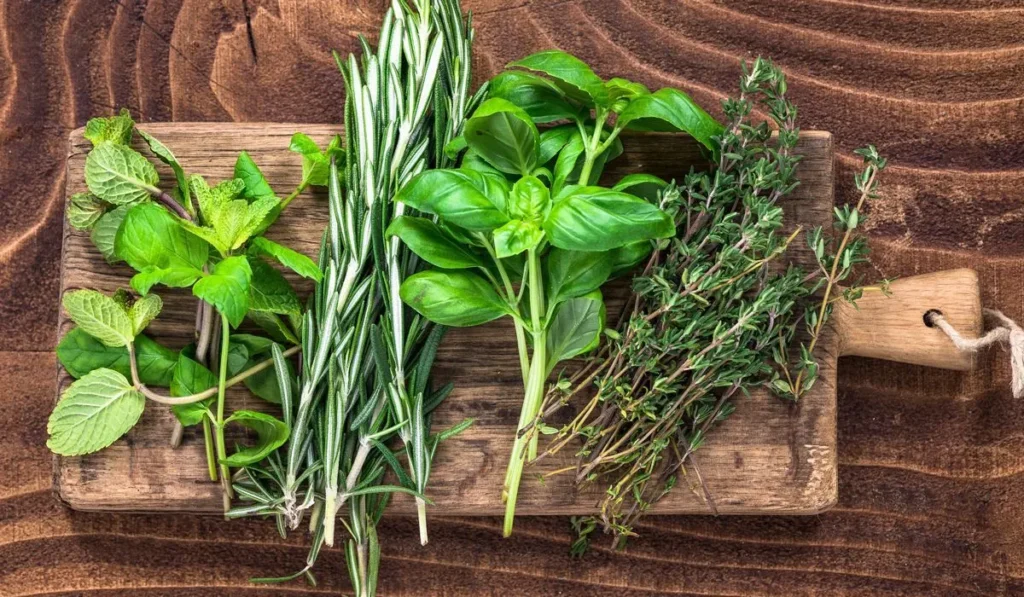 Courage-enhancing herbs Herbs for bravery Magical herbs for strength Confidence-boosting herbs Herbal magic for fearlessness Witchcraft herbs for boldness Spell ingredients for courage Courage spells with herbs Empowerment herbs in magic Botanical allies for inner strength