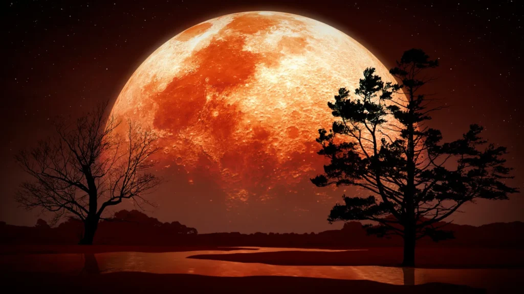 blood moon rituals.
blood moon ceremony.
black moon rituals.
blood moon eclipse ritual.
blood moon spells?
red moon ritual.